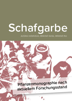 Pflanzenmonographie nach aktuellem Forschungsstand: Schafgarbe